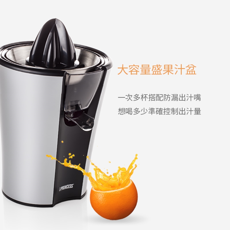 PRINCESS荷蘭公主 201970 - 詳情1