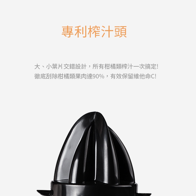 PRINCESS荷蘭公主 201970 - 詳情10