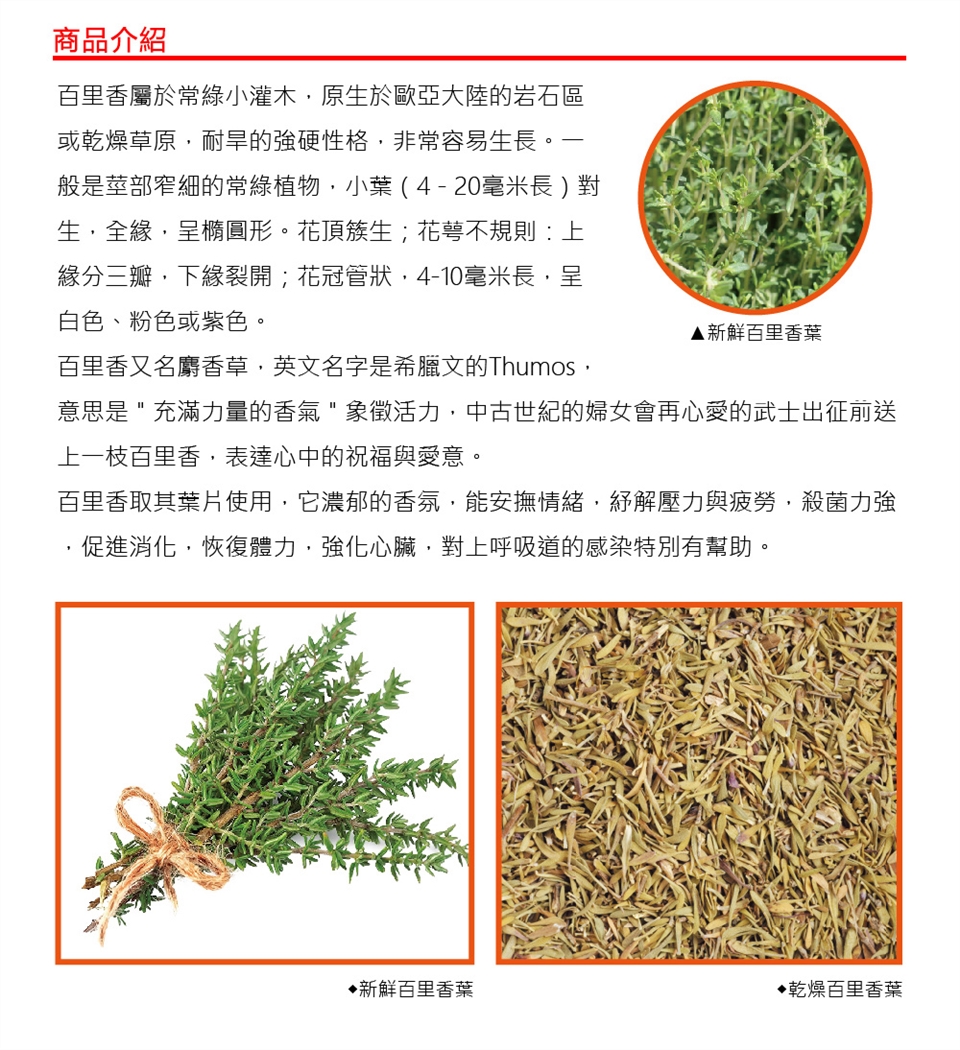 飛馬 百里香粉 Flying Horse Thyme Powder 全素或純素 25g 其他調味料 Etmall東森購物網