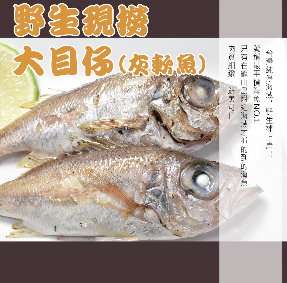 野生現撈大目仔灰軟魚3入組 400 450g 10 入 約4 5隻 肉魚 吻仔魚 Etmall東森購物