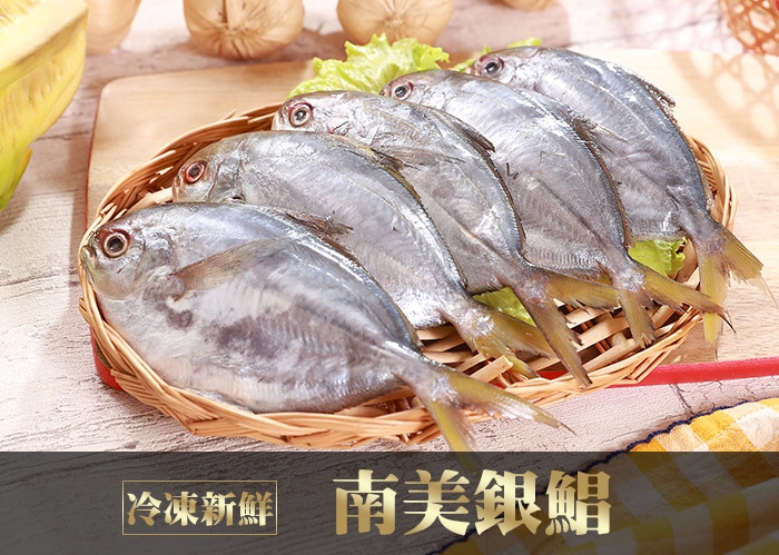 海之金 鮮凍南美銀鯧包組 800g 包 6尾裝 鯧魚 黃魚 Etmall東森購物