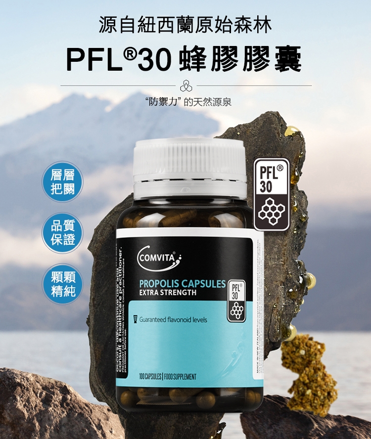 日東 ３０用Ｌ型バイトンパッキン ＰＦＬ－３０ 〔品番:PFL-30