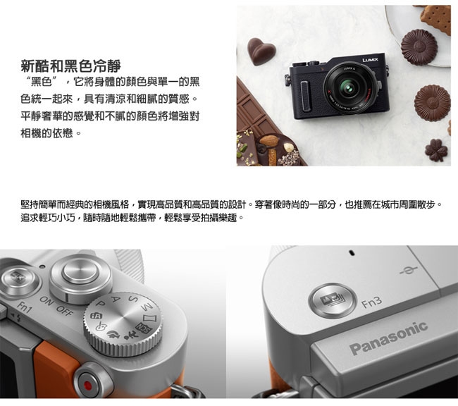 lumix gf10x