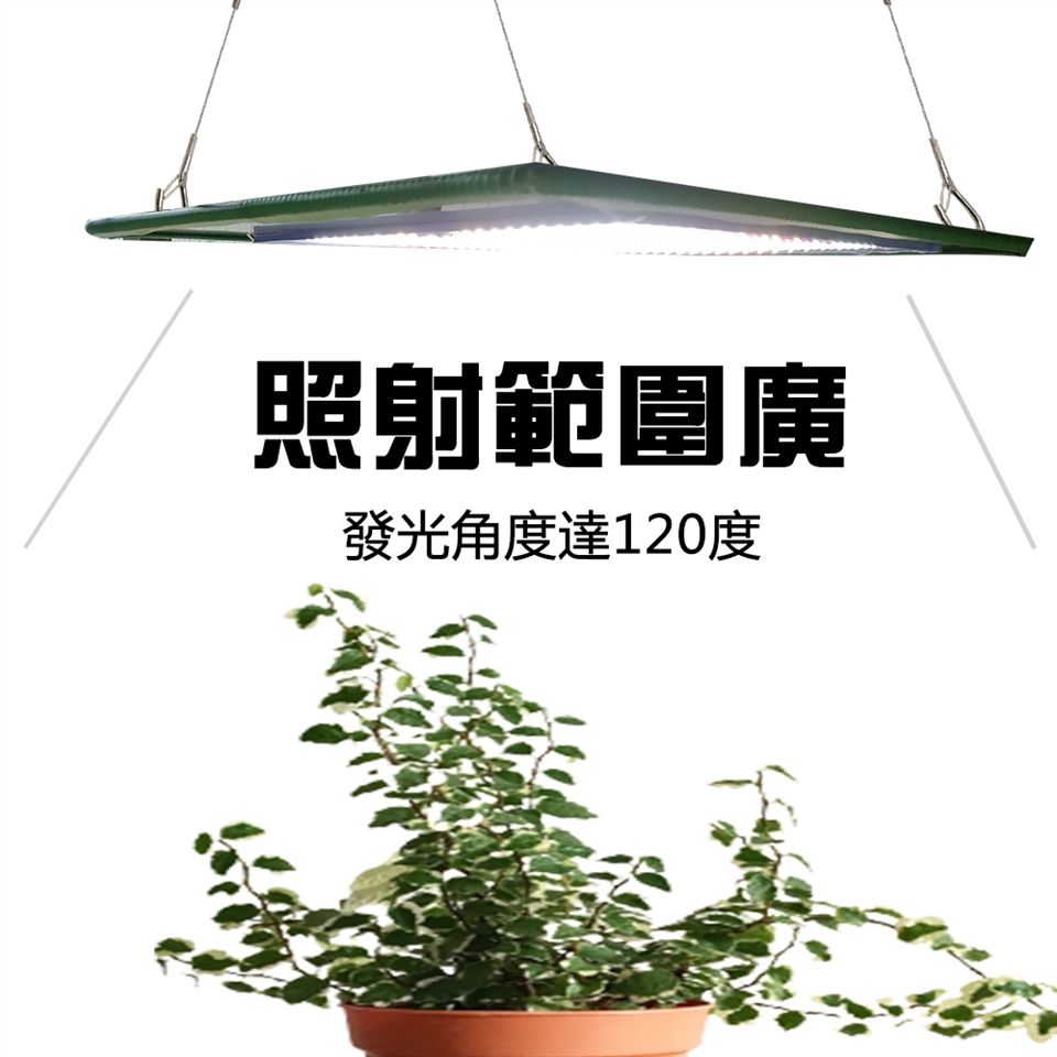 君沛燈板系列150瓦吊掛式植物燈莖葉加強型植物成長專用燈植物生長燈 植物燈 Etmall東森購物網