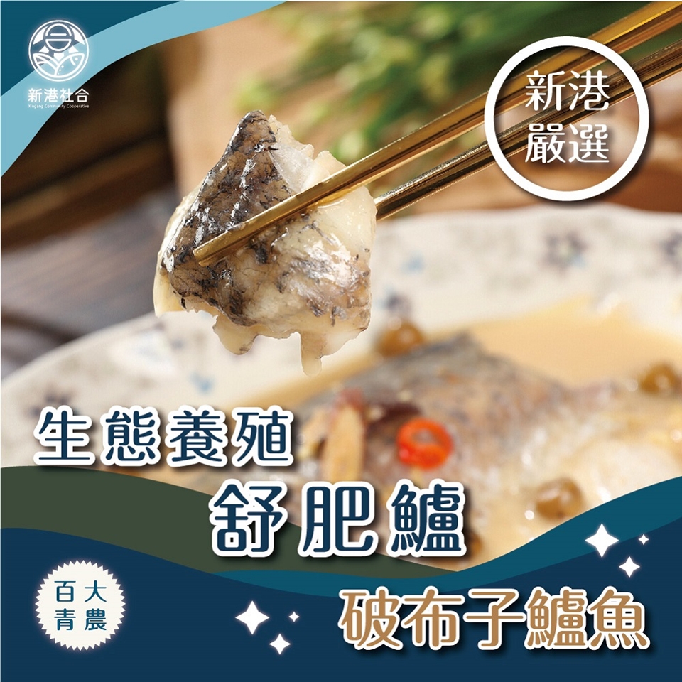 新港社合x 一把青 生態養殖舒肥鱸2g 片 破布子4片 組 漁民直營產銷共贏百大青農 石斑魚 鱸魚 Etmall東森購物