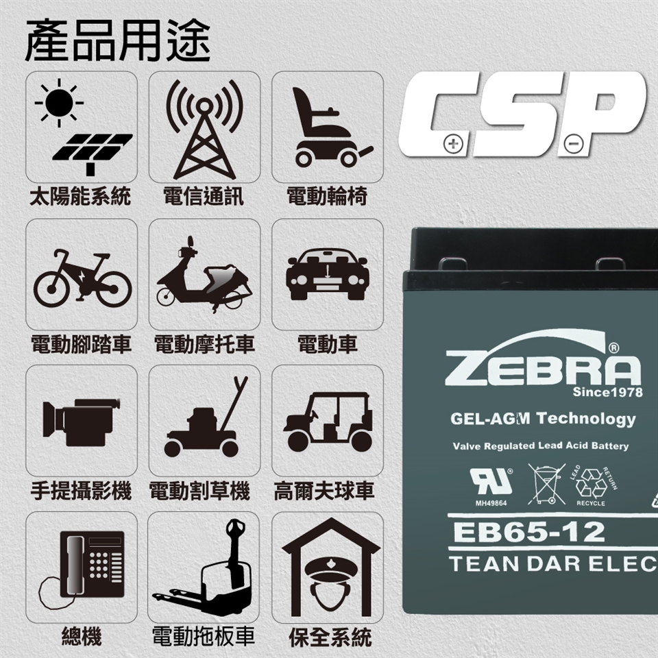 CSP】EB65-12 銀合金膠體電池12V65A 電動車電動機車老人代步車電動輪椅