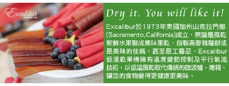 Excalibur依卡莉柏 NSDS - 詳情3