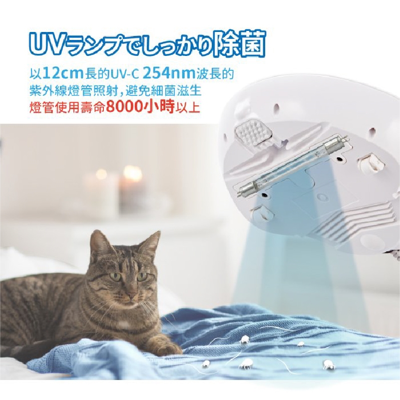 Ikiiki伊崎 IK-VC8101 - 詳情2