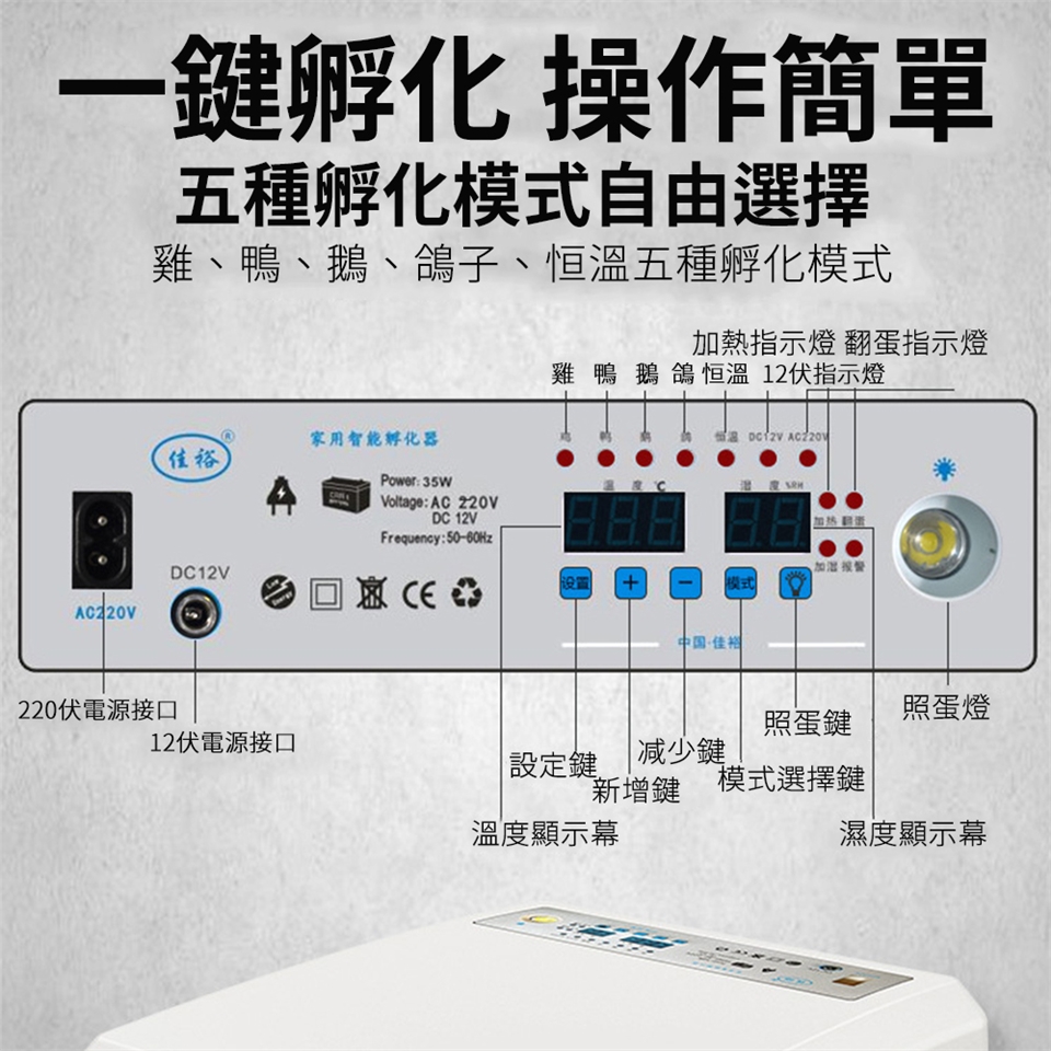 12枚孵蛋器孵化機智能全自動孵蛋器孵化箱