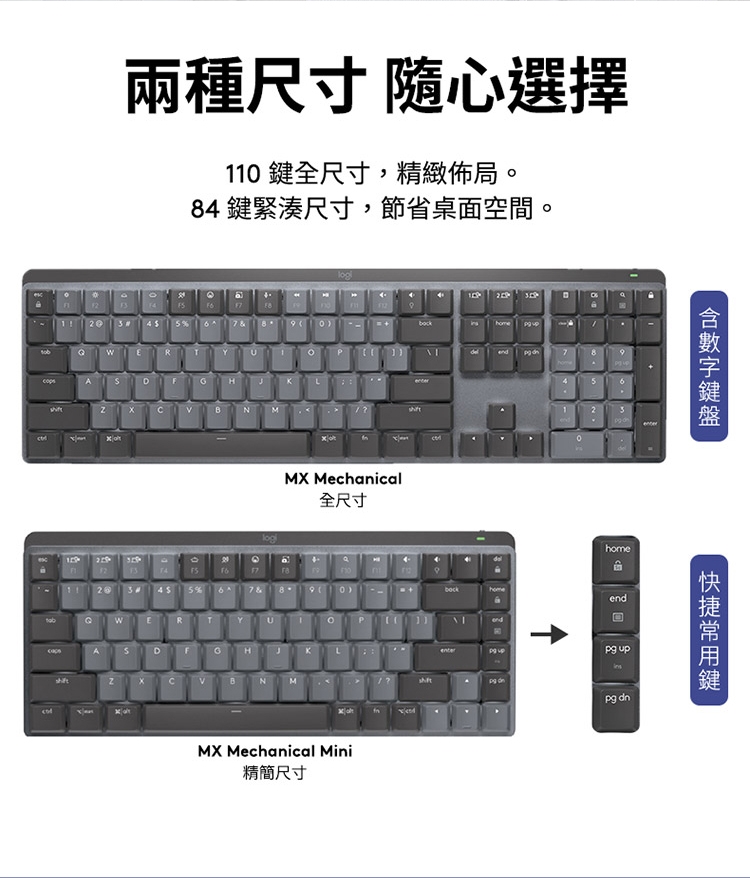 KEYL260_05.jpg