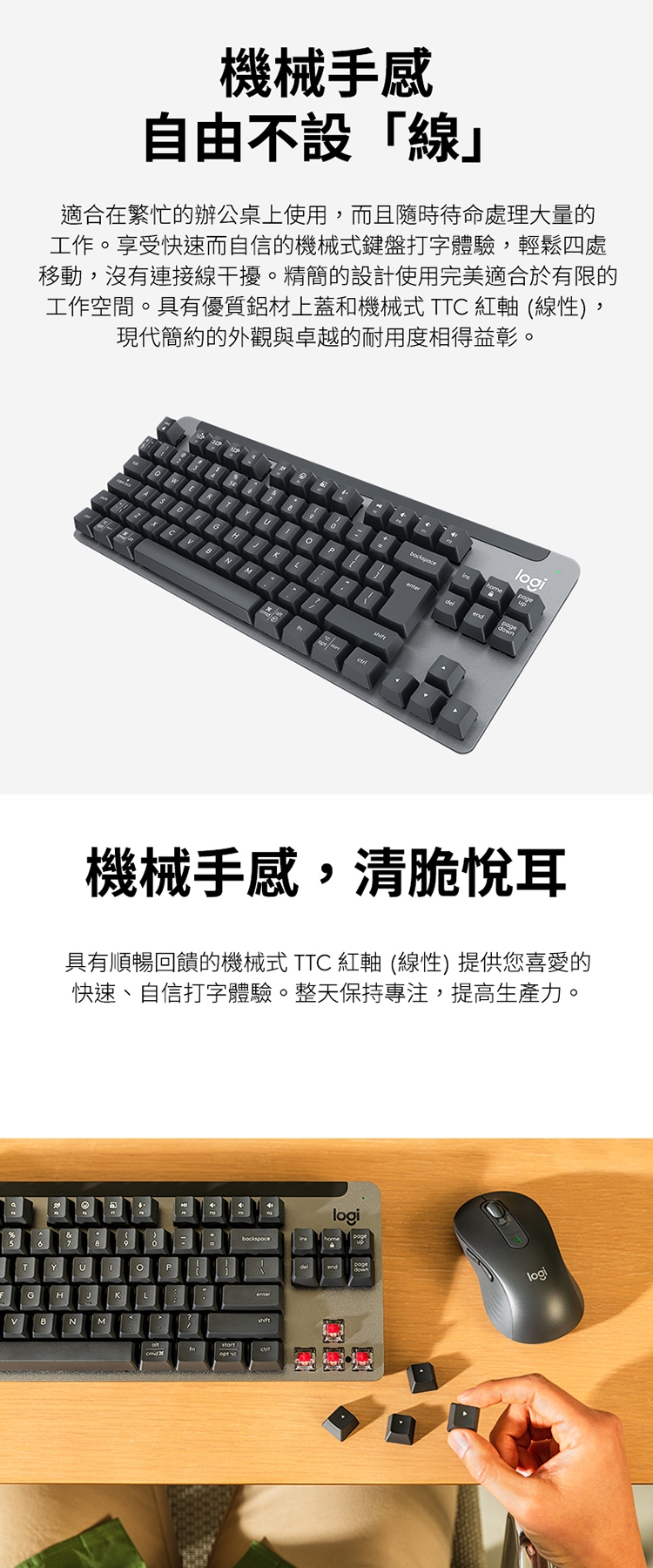 KEYL263A_03.jpg