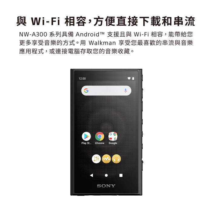 Sony 公司貨保固12+6] NW-A306 Walkman 數位音樂隨身聽|會員獨享好康