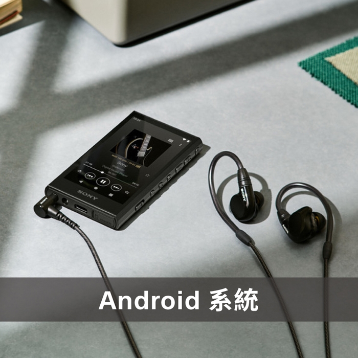 Sony 公司貨保固12+6] NW-A306 Walkman 數位音樂隨身聽|會員獨享好康