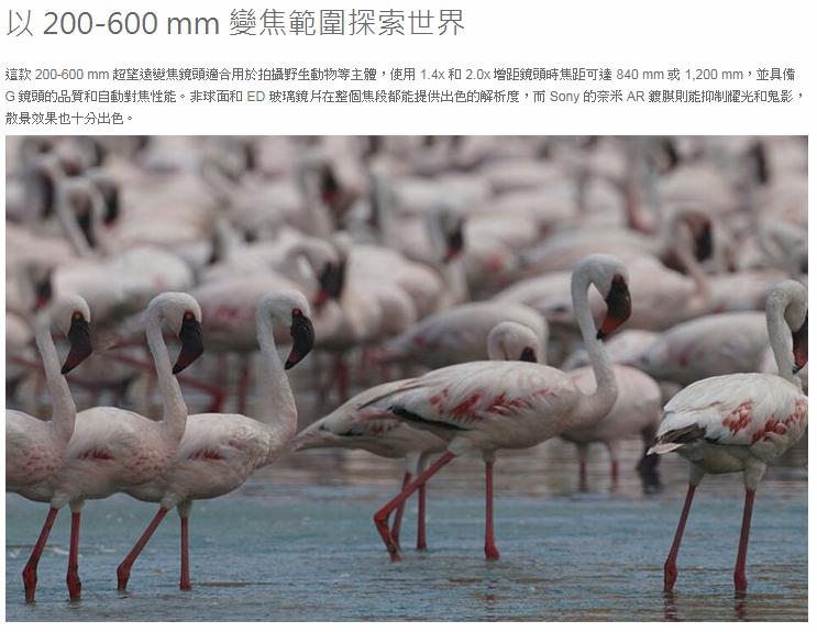 SONY索尼 SEL200600G FE 200-600mm F5.6-6.3 G OSS - 詳情8