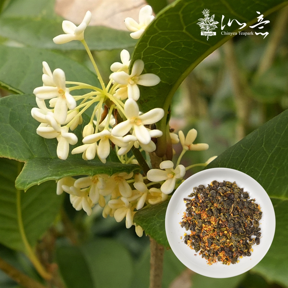 沁意】台灣傳統人氣薰花! 南投松柏嶺桂花烏龍茶4入組(100g/盒)|烏龍茶|ETMall東森購物網