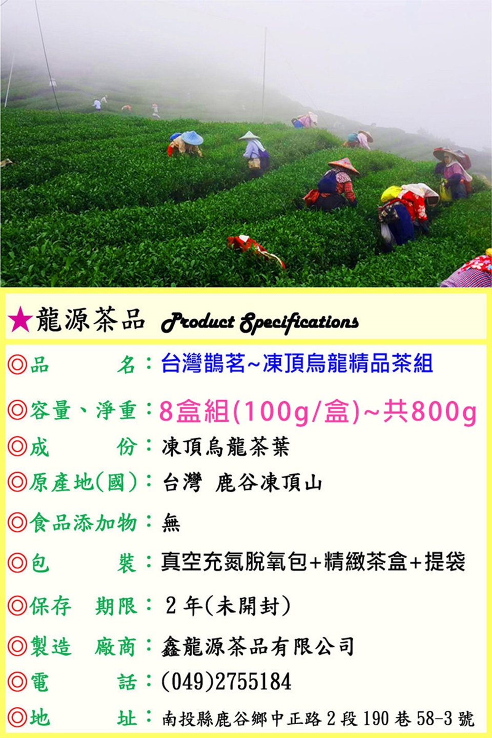 龍源茶品】 台灣藍鵲凍頂烏龍茶8盒組(100g/盒/熟茶/重火/中發酵)|烏龍茶|ETMall東森購物網