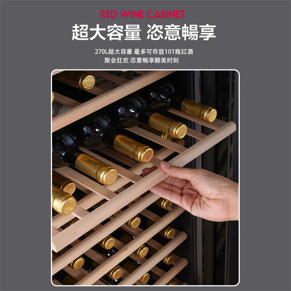 LEZUN樂尊 270L - 詳情4