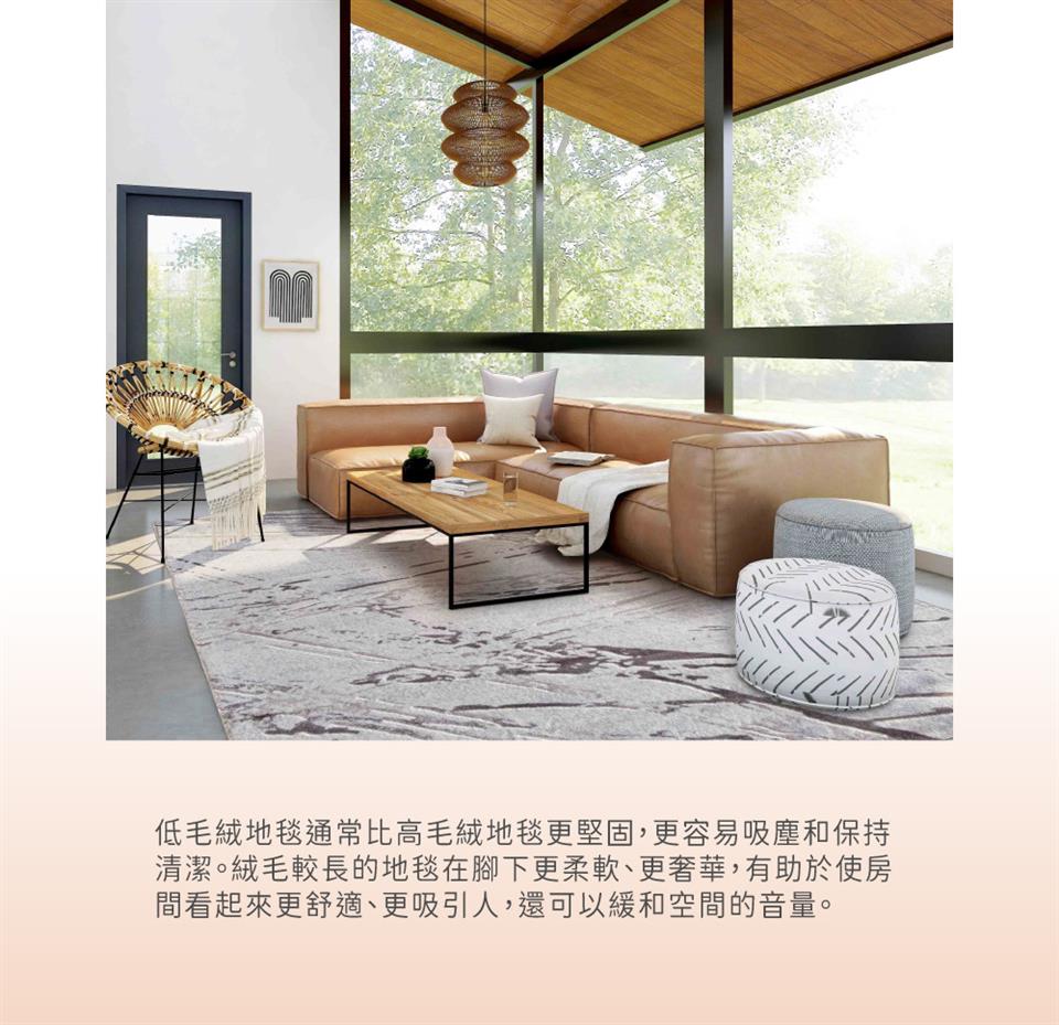 低毛絨地毯通常比高毛絨地毯更堅固,更容易吸塵和保持 清潔。絨毛較長的地毯在腳下更柔軟、更奢華,有助於使房 間看起來更舒適、更吸引人,還可以緩和空間的音量。