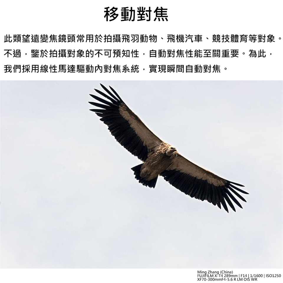 FUJIFILM富士軟片 XF 70-300mm F 4-5.6 R LM OIS WR - 詳情5