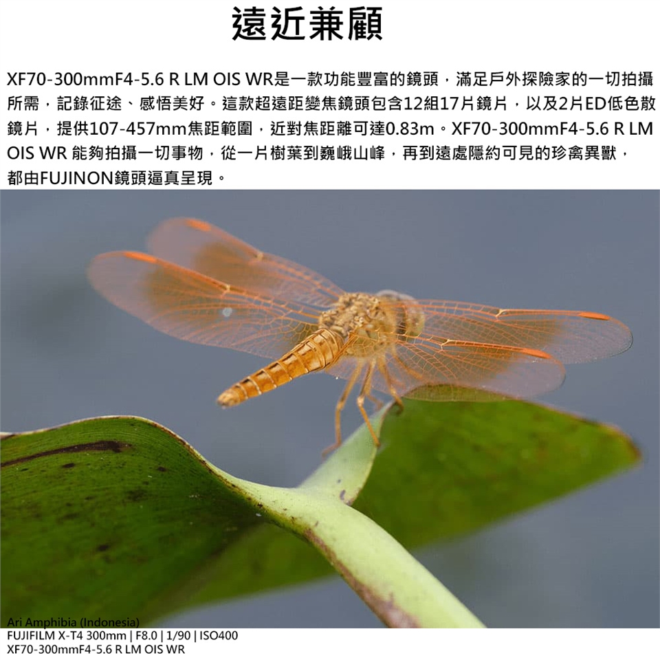 FUJIFILM富士軟片 XF 70-300mm F 4-5.6 R LM OIS WR - 詳情7