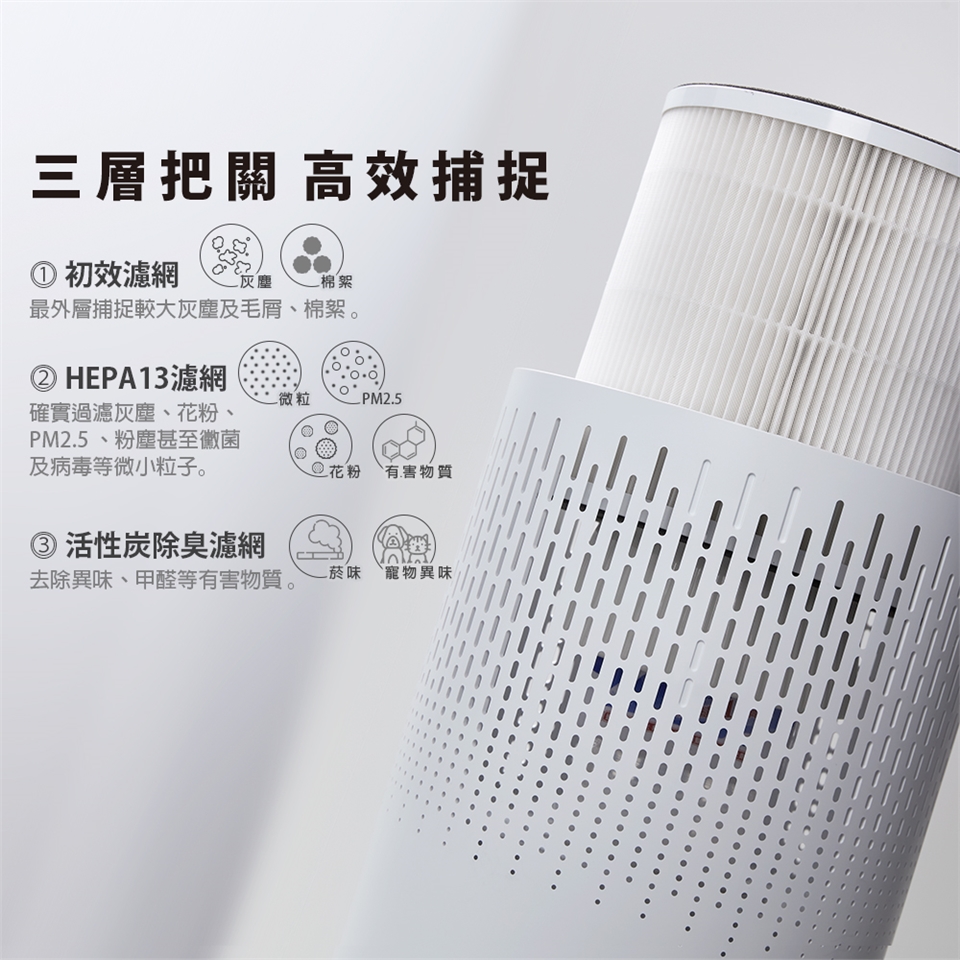 PRINCESS荷蘭公主 354787 - 詳情2