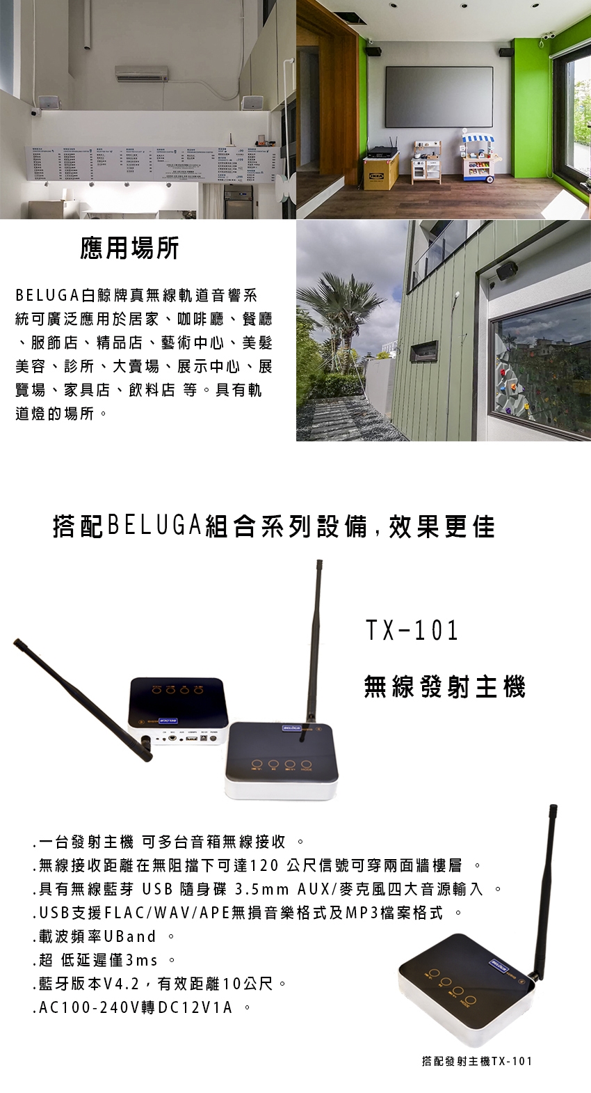 BELUGA白鯨牌 U650B - 詳情2