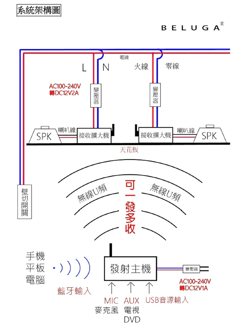 BELUGA白鯨牌 U650B - 詳情8