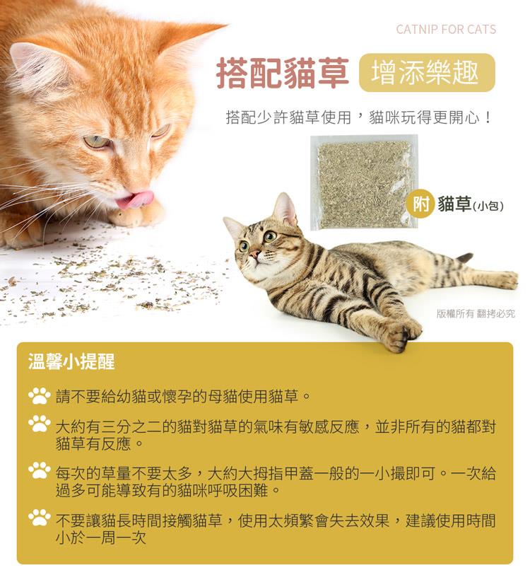 大約有三分之二的貓對貓草的氣味有敏感反應,並非所有的貓都對
