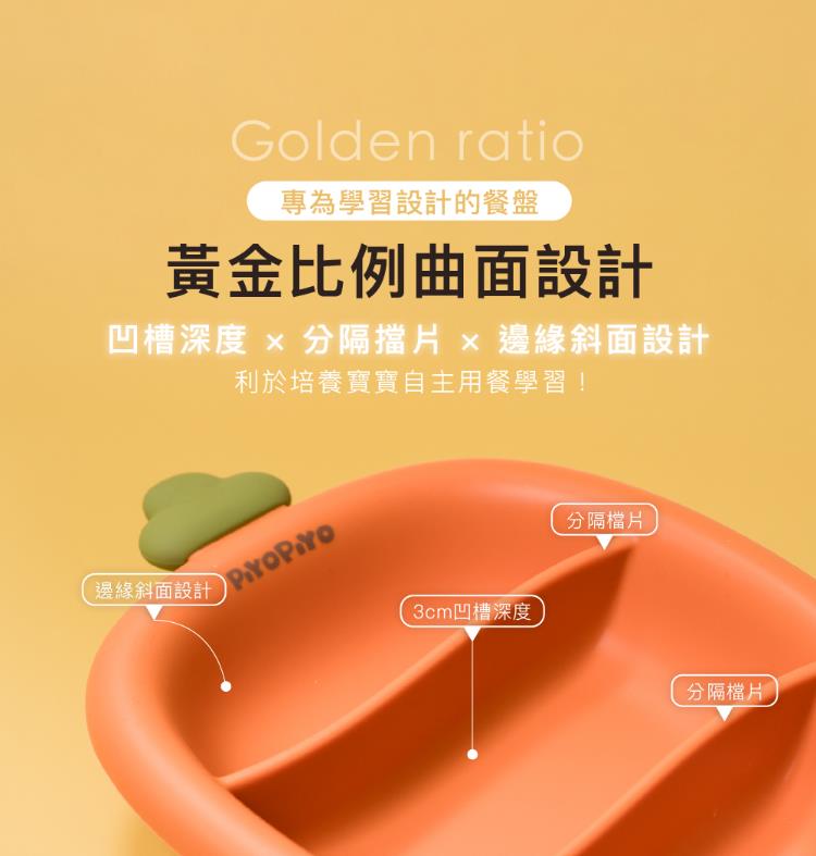 凹槽深度 x 分隔擋片 x 邊緣斜面設計