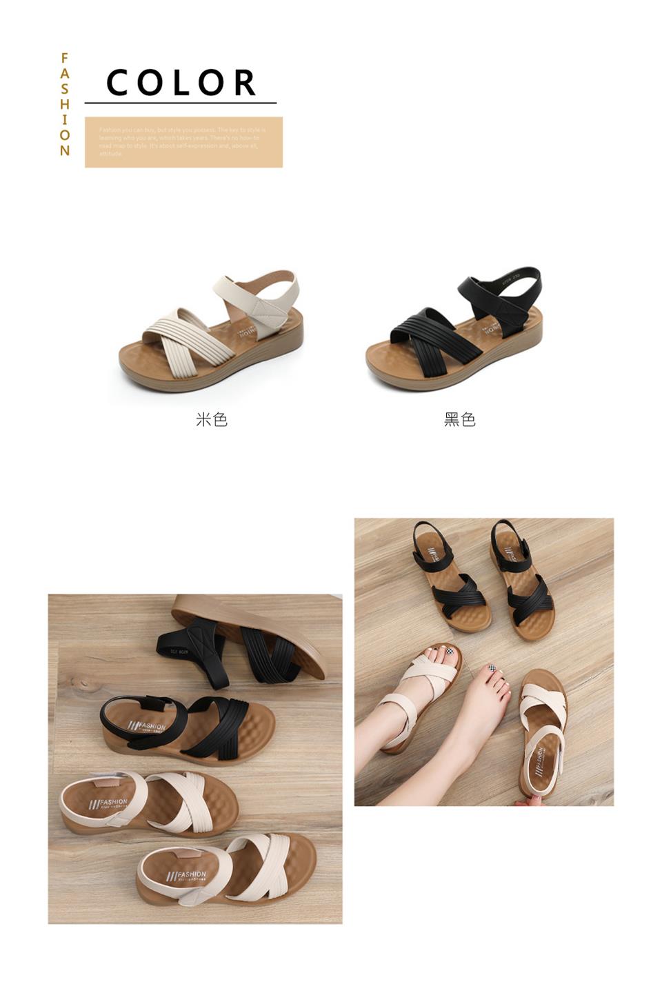 米色 黑色