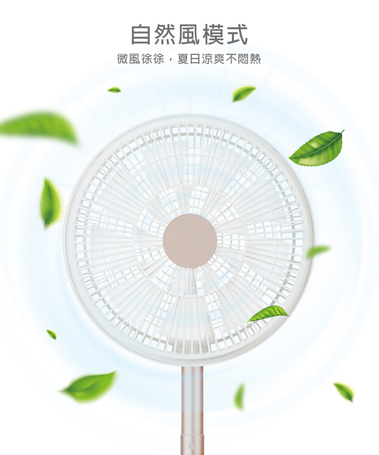 NICONICO NI-DC2403 - 詳情1