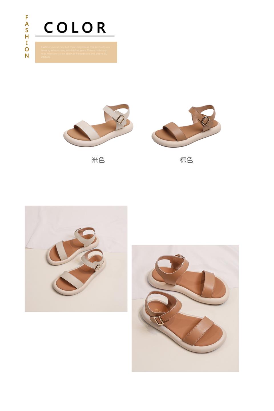 米色 棕色 