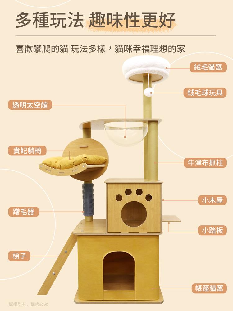 喜歡攀爬的貓 玩法多樣,貓咪幸福理想的家