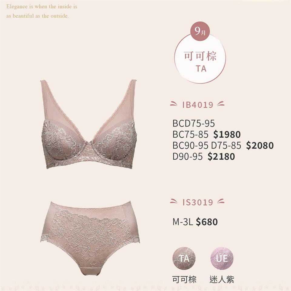 可可棕 可可棕 迷人紫 