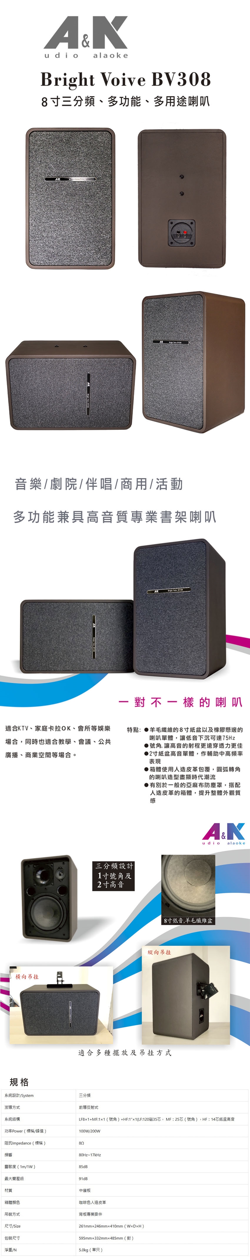 A&K Bright Voive BV308 - 詳情2