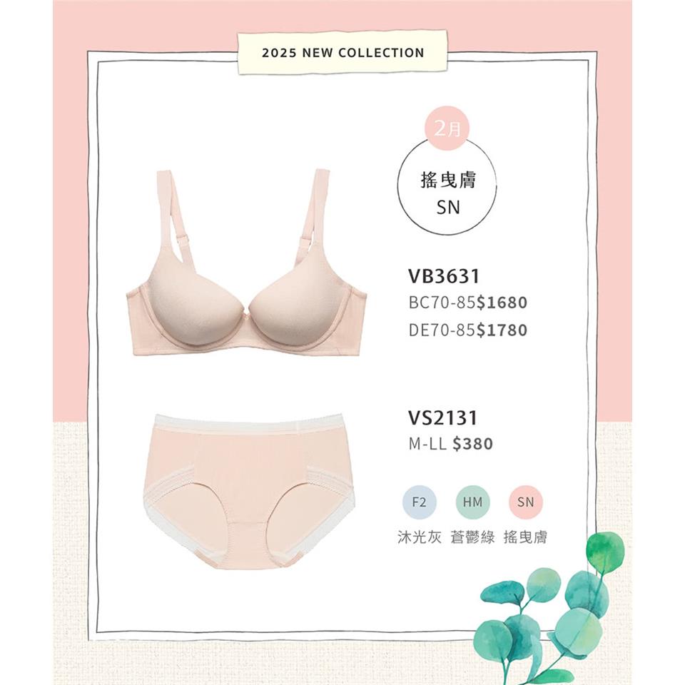 2月 搖曳膚 沐光灰 蒼鬱綠 搖曳膚 