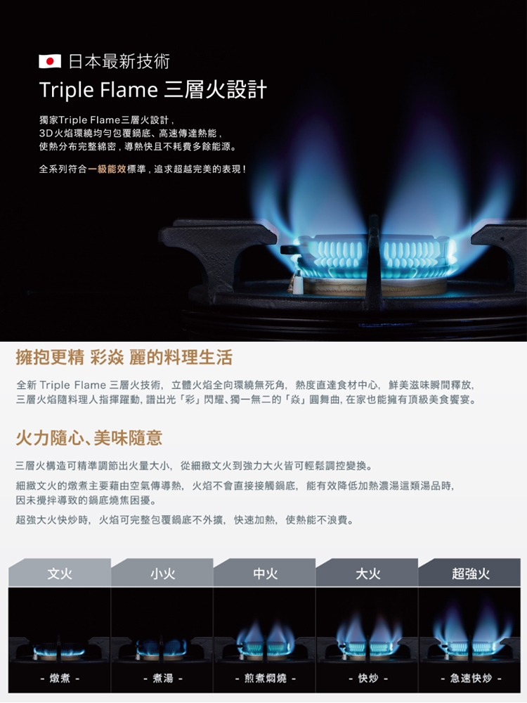 Rinnai林內牌 RTS-L270S - 詳情6