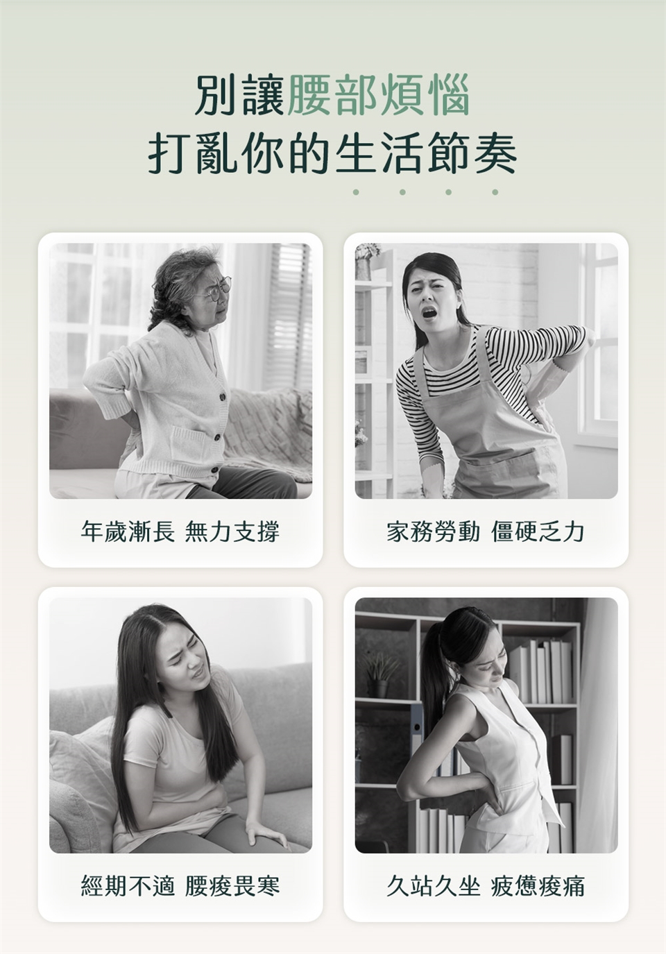 3ZeBra三隻斑馬 呼呼腰 - 詳情2