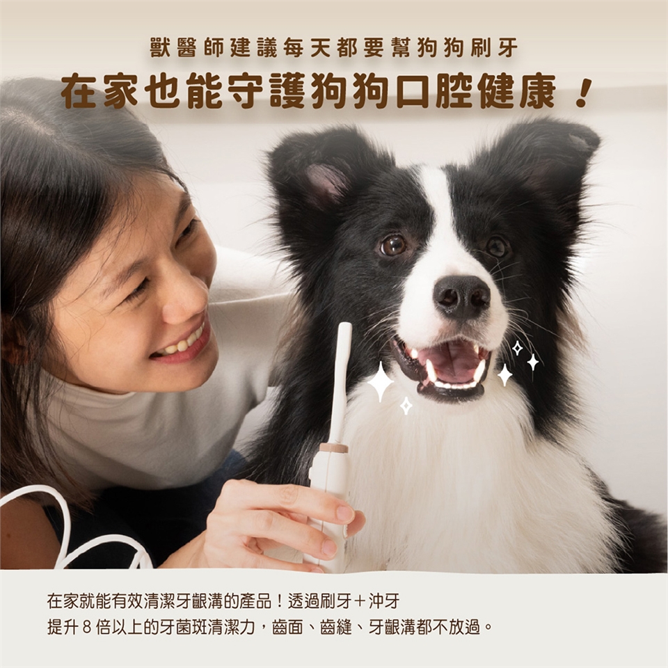 BLAUPUNKT藍寶 BPH-TB02RP - 詳情3