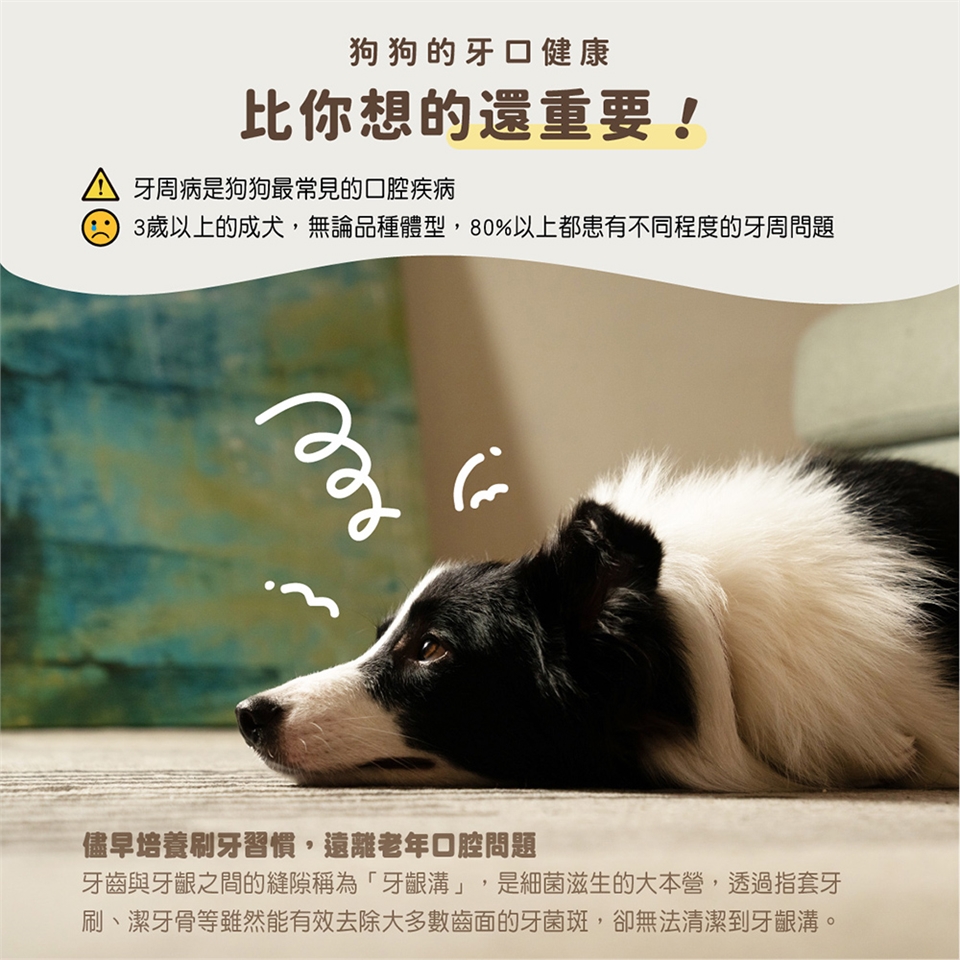 BLAUPUNKT藍寶 BPH-TB02RP - 詳情5