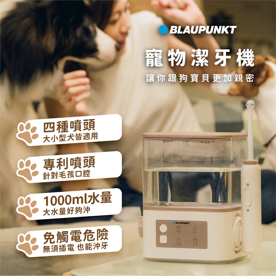 BLAUPUNKT藍寶 BPH-TB02RP - 詳情8