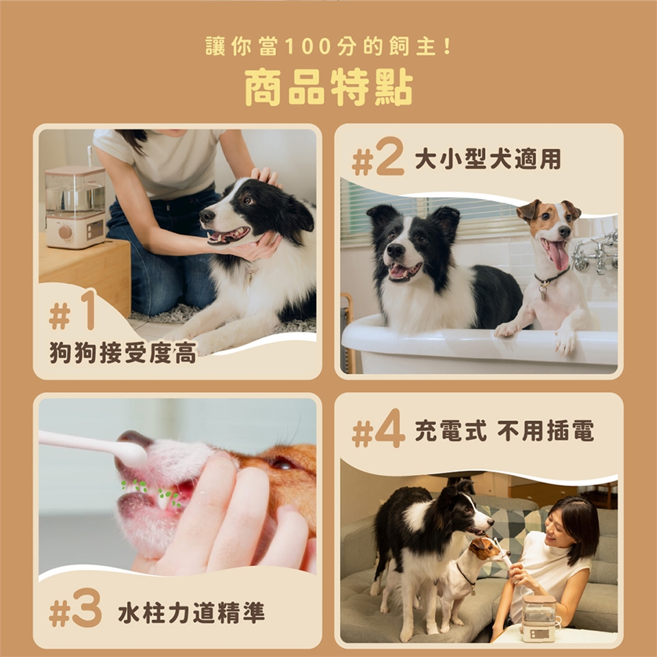 BLAUPUNKT藍寶 BPH-TB02RP - 詳情10