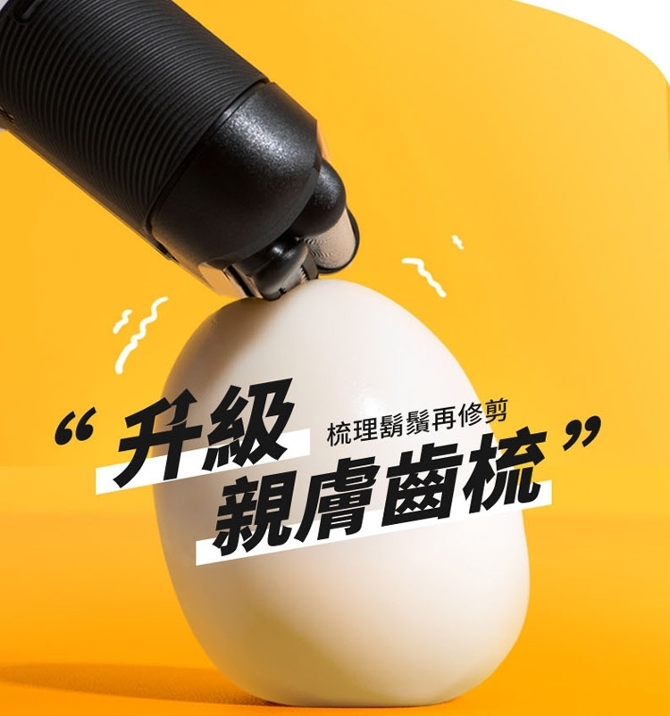 TM1010_09.jpg