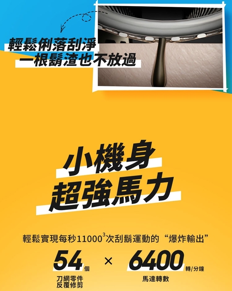 TM1010_07.jpg