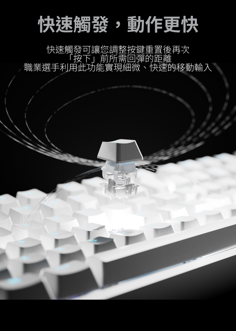 KEYL308A_05.jpg