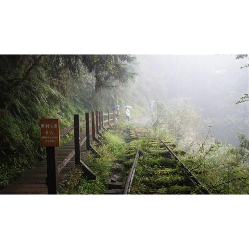 宜蘭旅遊│太平山最美小徑見晴步道．鳩之澤吊橋溫泉一日│大人囝仔-24TEYLNSPA