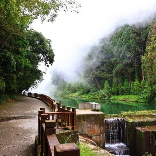 南投杉林溪繡球花季.步道森呼吸‧看山景萌寵園區~鹿芝谷‧山板樵騏雞蛋捲下午茶二日-25TMNT4NSA