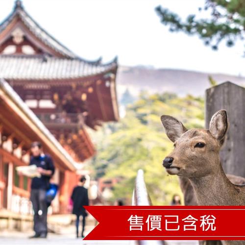 清艙 漫遊京阪奈伏見稻荷大社.清水寺.金閣寺.奈良小鹿小旅行四日_SJXUPBRFFF