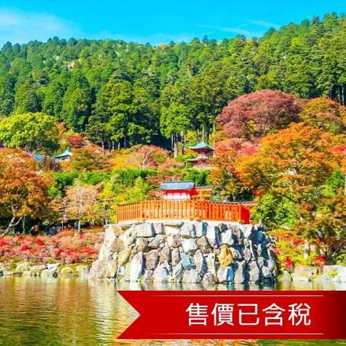 紅葉京阪神奈奈良小鹿.楓迷嵐山.東福寺.清水寺.勝尾寺.神戶港.有馬瑞寶寺公園五日｜無自費餐_SJXUP25DDD