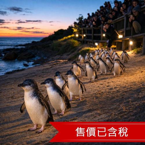 墨爾本7日│神仙企鵝歸巢·澳式動物園·淘金趣·古董蒸汽火車·市區電車漫遊·購物樂_26MUMEL7D